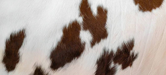 origine de l'hyperpigmentation